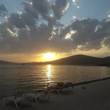 Ivan * Trogir